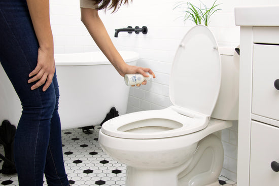 Toilet Spray (Odor Eliminator)