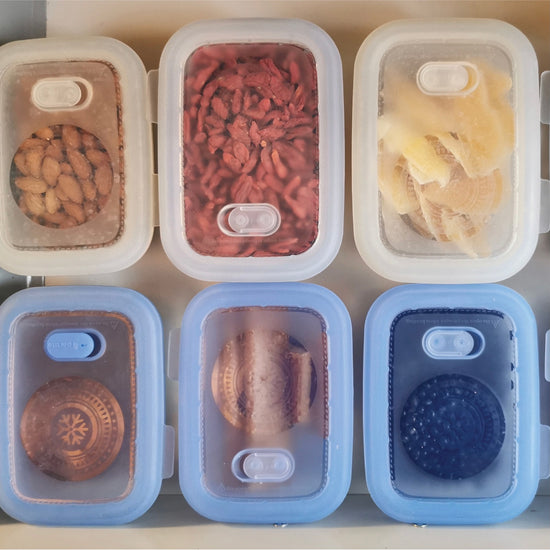 Collapsible Silicone Food Container