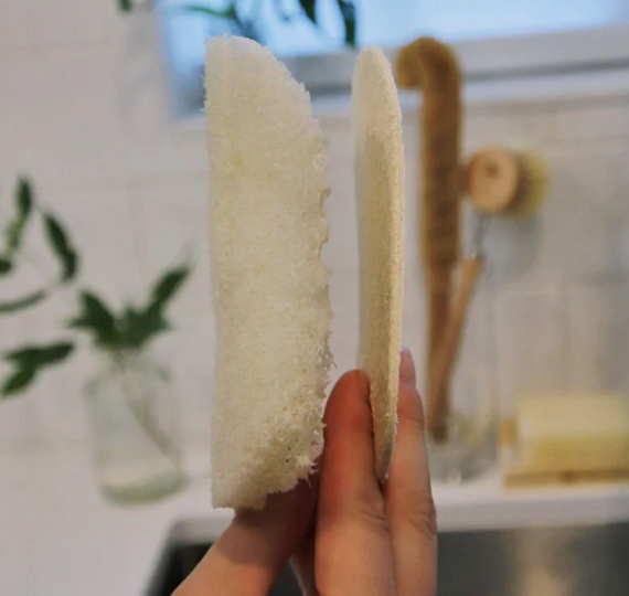 Eco Dish Sponge